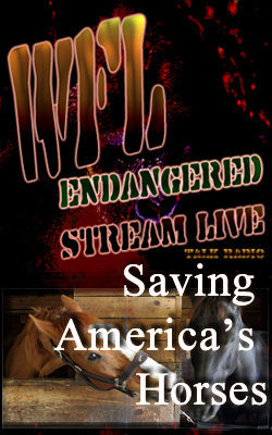 Saving America's Horses BNR